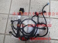 重汽王牌轻卡配件发动机线束