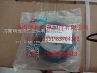 重汽豪沃轻卡配件发电机皮带