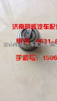 重汽豪沃轻卡配件节温器芯00