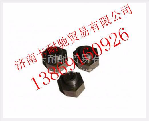 VG1246110046,,济南卡耐驰汽车配件有限公司