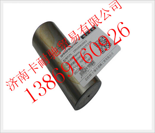 199100410003,陕汽转向节主销,济南卡耐驰汽车配件有限公司