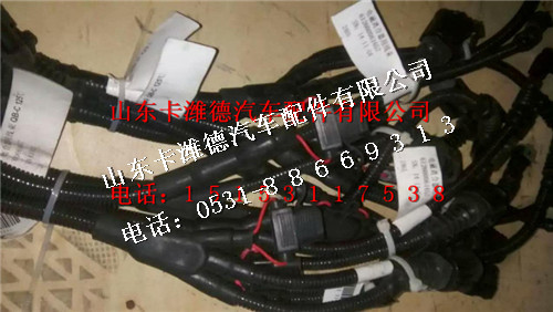 612640080061,潍柴WP12国四发动机线束总成,山东卡潍德汽车配件有限公司