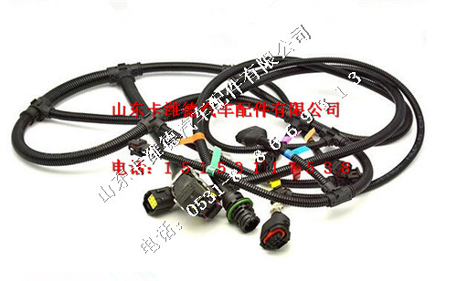 612600090374,潍柴WP10电喷线束,山东卡潍德汽车配件有限公司