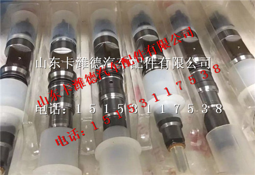 200V10100-6126,中国重汽曼MC11发动机喷油器总成,山东卡潍德汽车配件有限公司
