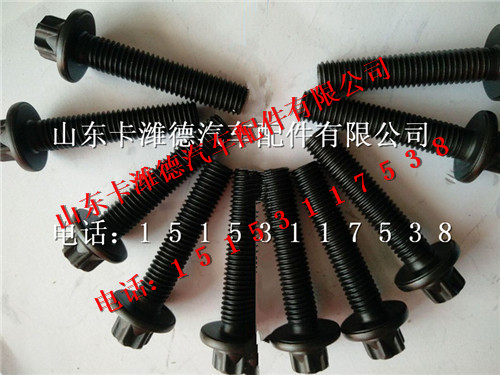 200V90490-0051,重汽曼MC11发动机耐热螺栓,山东卡潍德汽车配件有限公司