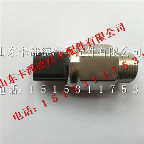 202V27421-0263,重汽曼MC11燃油传感器,山东卡潍德汽车配件有限公司