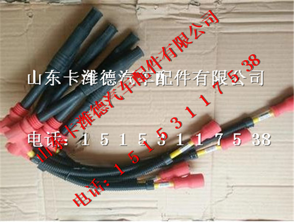 610800190656,潍柴天然气发动机高压线,山东卡潍德汽车配件有限公司