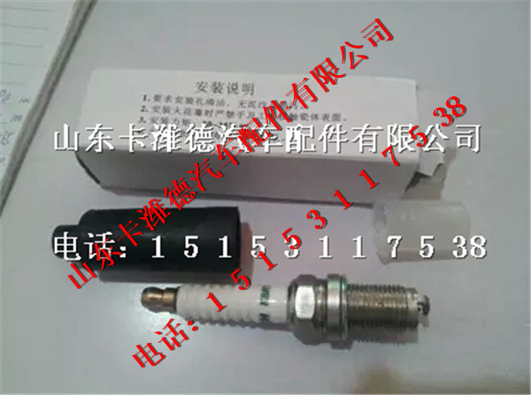 K8RTPP,南充天燃气发动机火花塞,山东卡潍德汽车配件有限公司