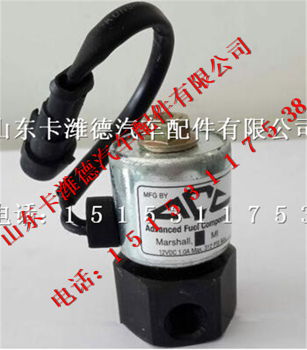 ,南充NQ120天然气发动机CNG电磁阀,山东卡潍德汽车配件有限公司