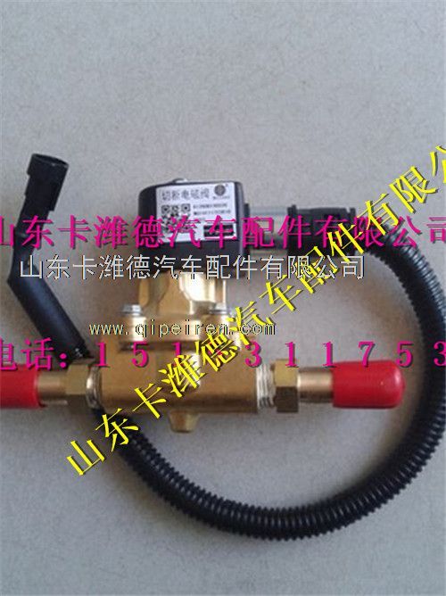 612600190336,潍柴LNG天然气发动机电磁切断阀,山东卡潍德汽车配件有限公司