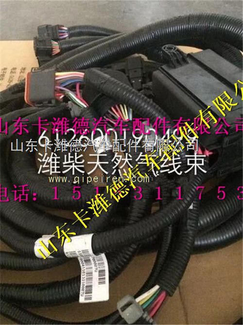 612600190499,潍柴WP10CNG天然气发动机配件ECU线束,山东卡潍德汽车配件有限公司