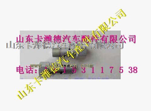 2469403530,潍柴天然气发动机溢流阀,山东卡潍德汽车配件有限公司