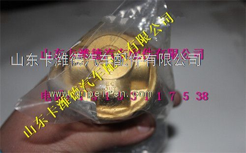 DZ9259560159,潍柴天然气卡车气瓶配件LNG经济阀,山东卡潍德汽车配件有限公司