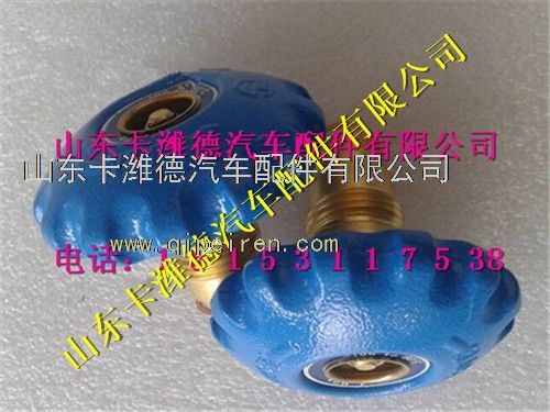 SZ955001029,潍柴天然气气瓶截止阀修理包,山东卡潍德汽车配件有限公司