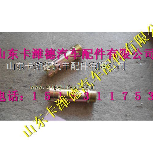 VG1238040104,重汽天然气点火线圈衬套,山东卡潍德汽车配件有限公司