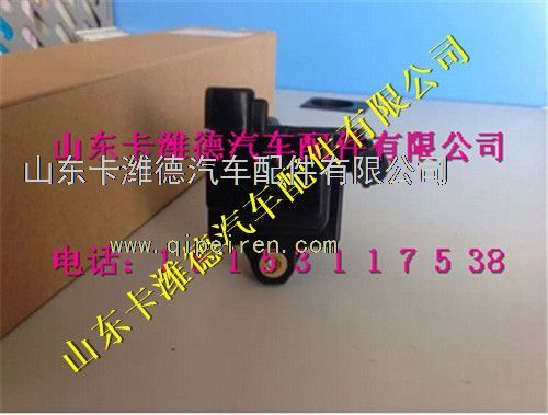 VG1092080015,重汽天然气点火线圈总成,山东卡潍德汽车配件有限公司