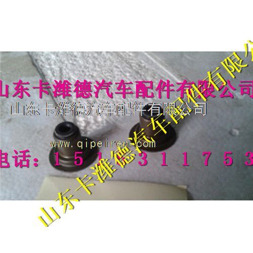 VG1246050167,重汽天然气配件气门油封,山东卡潍德汽车配件有限公司