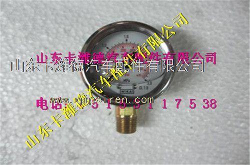WG10000001（DZ93259560144）,西安德森LNG气瓶径向压力表,山东卡潍德汽车配件有限公司