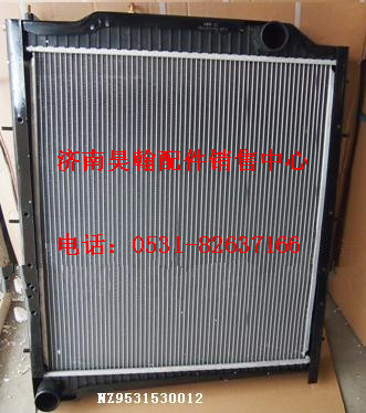 濟(jì)南豪瀚重汽小豪運(yùn)自卸車水箱重汽豪運(yùn)駕駛室重汽豪運(yùn)駕駛室空殼/NZ9531530012