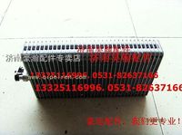中国重汽豪运配件 豪运空调暖风系列 豪运蒸发器芯体