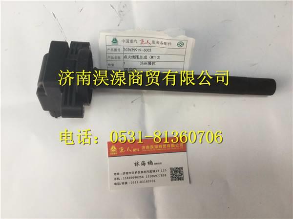 202V25919-6002,,济南淏湶商贸有限公司