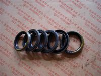 TZ56077000173   油封總成3501080