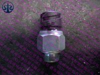 DZ9112710020   壓力開關(guān)