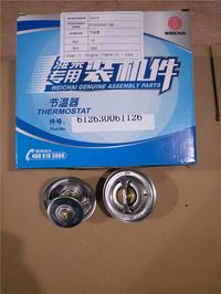 節(jié)溫器芯612630061126