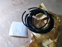 VG1099030006   活塞環(huán)