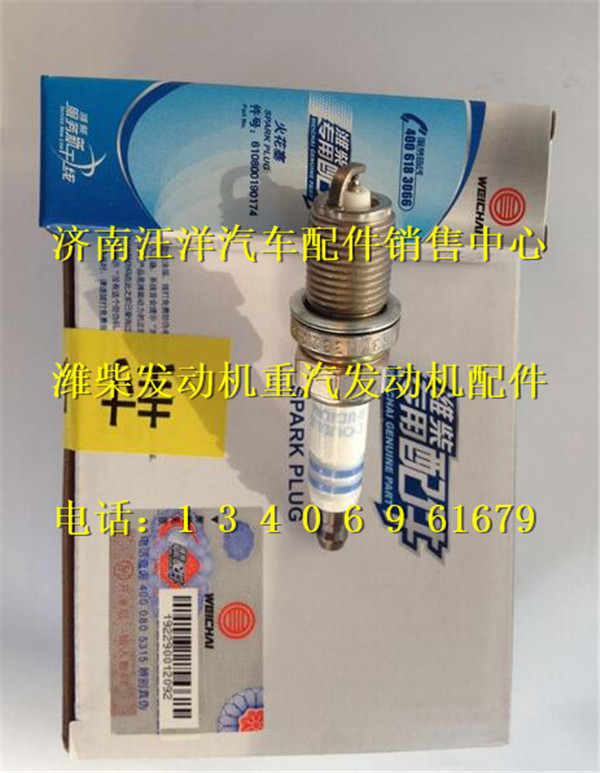 610800190174,,济南银驰（原汪洋）汽车配件