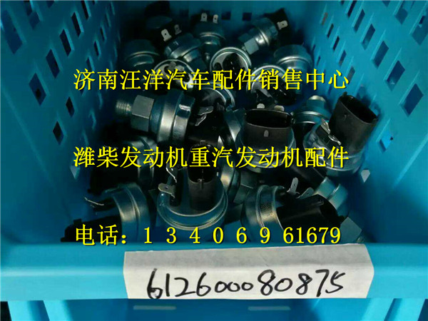612600080875,,济南银驰（原汪洋）汽车配件