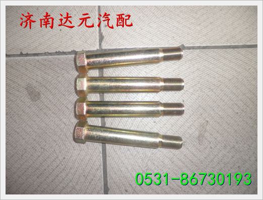STR翻转轴螺丝 图1