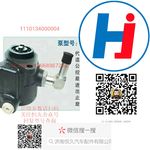 轉(zhuǎn)向助力泵 1110134000004