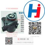轉(zhuǎn)向助力泵 1110134000009