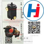 轉(zhuǎn)向助力泵 1120834000010D52-000-17