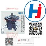 轉(zhuǎn)向助力泵 L0340030015A0