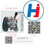 轉(zhuǎn)向助力泵 L0340030019A0