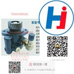 轉(zhuǎn)向助力泵 T64643005AE