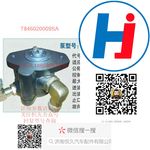 轉(zhuǎn)向助力泵 T846020009SA