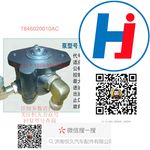轉(zhuǎn)向助力泵 T846020010AC