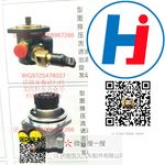 轉(zhuǎn)向助力泵 WG9725478037
