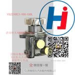轉(zhuǎn)向助力泵 YBZ210C1-100-100L