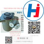 轉(zhuǎn)向助力泵 YBZ216D3A-130-100L-204號泵