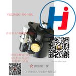 轉(zhuǎn)向助力泵 YBZ216D7-100-100L