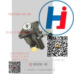 轉(zhuǎn)向助力泵 YBZ216Q-120-100