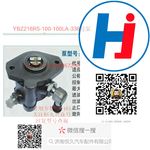 轉(zhuǎn)向助力泵 YBZ216R5-100-100LA-336號(hào)泵
