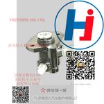 轉(zhuǎn)向助力泵 YBZ216R5-100-110L