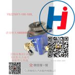 轉(zhuǎn)向助力泵 YBZ216Y1-100-100L