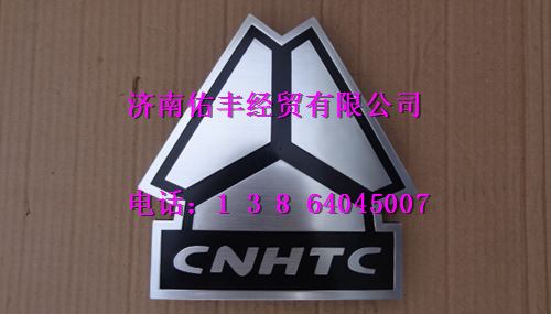 重汽三角标AZ1646950001图1