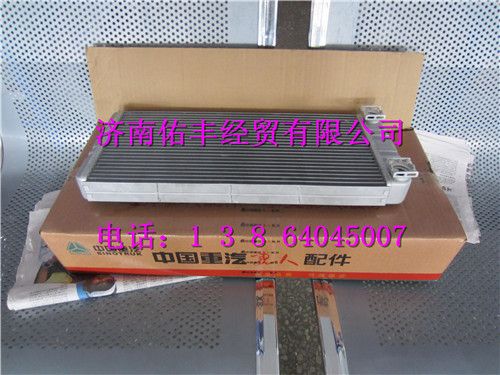 重汽豪沃A7暖风散热器总成WG1664820053图1